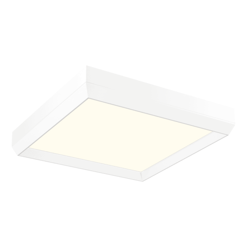 white-PC111145-MH