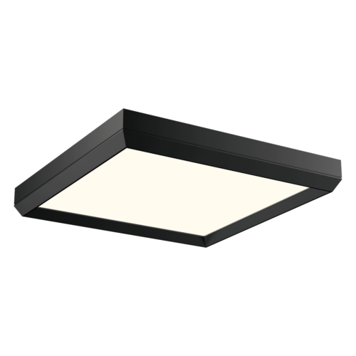 white-PC111145-SDG