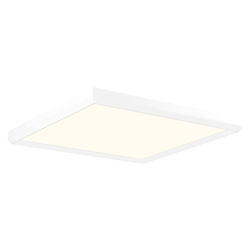 white-PC111147-MH