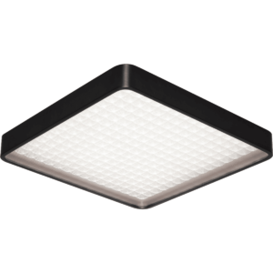 white-PC111249-SDG